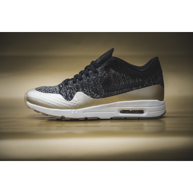 air max 1 ultra femme