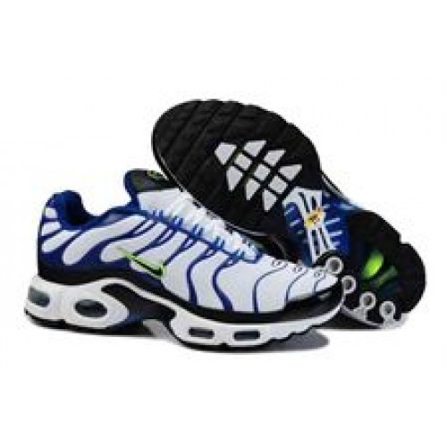 basquettes nike