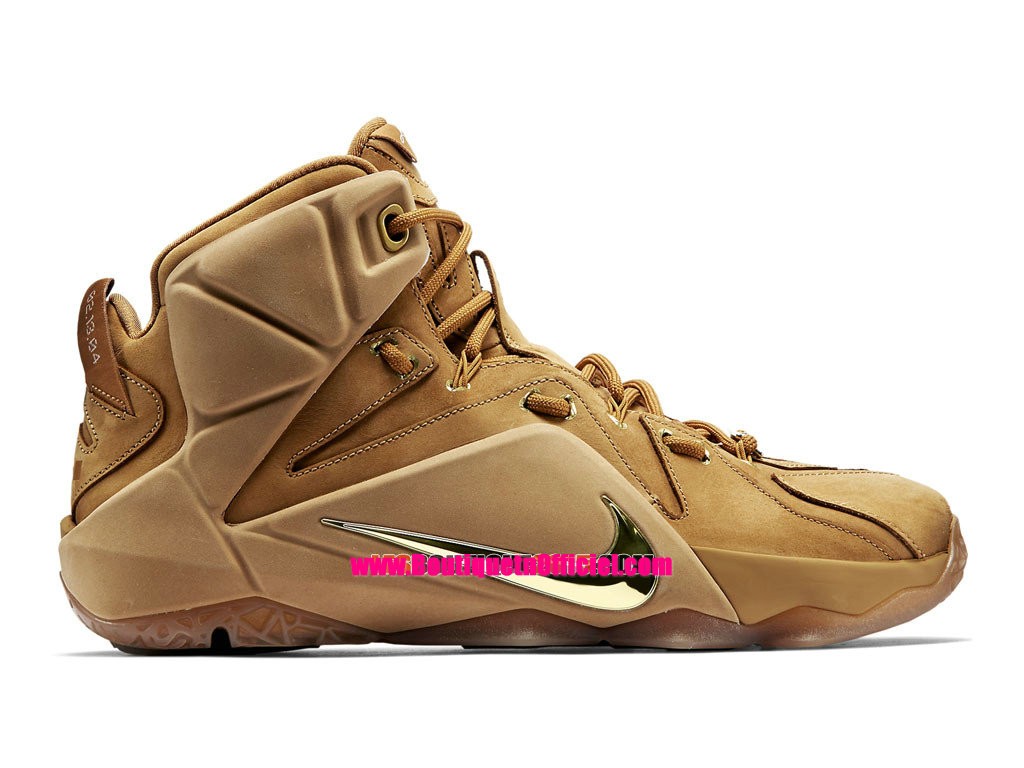 nike lebron 2 argent