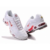 nike air max tn cuir