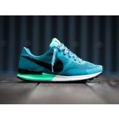 nike air pegasus homme