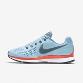 nike pegasus air zoom homme
